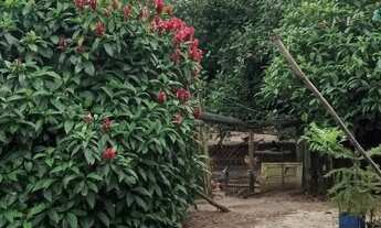 Imagem 6: Torres - Sítio - São Brás