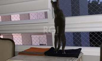 Imagem 5: Porto Alegre - Apartamento Padrão - Boa Vista