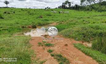 Imagem 3: Ariquemes - Sítio - 20 Alqueires em Ariquemes