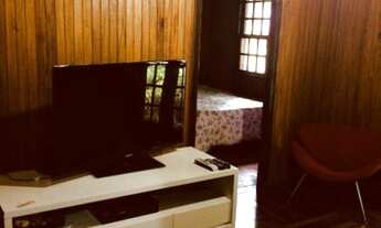 Imagem 7: Feliz entre as árvores