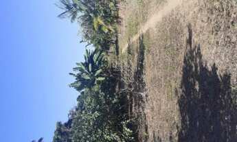 Imagem 3: Chácara com 27 alqueires próximo ao Balneário Rio Preto