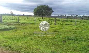 Imagem 7: Alto Paraíso - Sítio - 42 alqueires