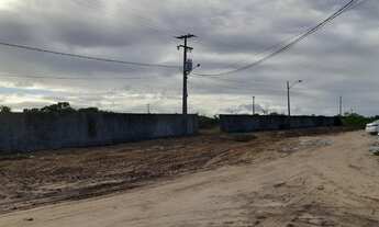 Imagem 5: Terreno parque das arvores