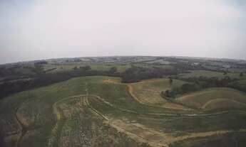 Imagem 4: Area de 27,5 alqueires todo em lavoura