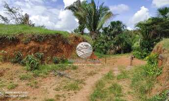 Imagem 5: Ariquemes - Sítio - 20 Alqueires em Ariquemes