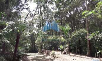 Imagem 2: Chácara na Roseira