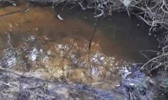 Imagem 4: Chácara de frente para o asfalto, localizada em Glorinha RS!!