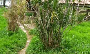 Imagem 3: EXCELENTE FAZENDA LOCALIZADA NO CENTRO OESTE GOIANO, 180 KM DISTANTE DE BRASÍLIA