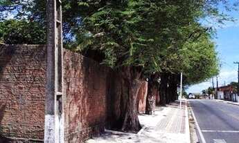 Imagem 4: Loteamento Granja Icarai