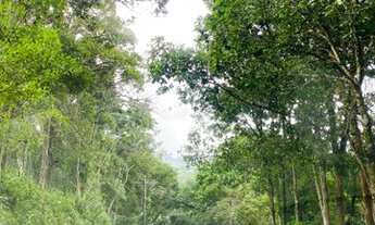 Imagem 4: Lotes condom?nio macacos