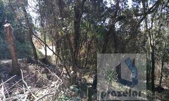 Imagem 2: ** Lindo terreno **