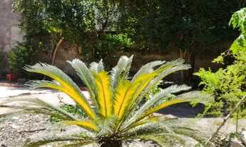 Imagem 7: Lote/Terreno para venda tem 360 metros quadrados em Três Corações - Nova Iguaçu - RJ