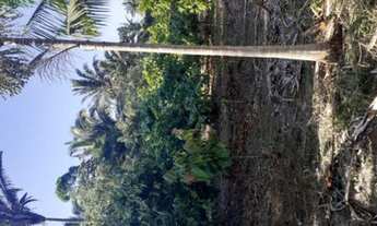 Imagem 2: Chácara com 27 alqueires próximo ao Balneário Rio Preto