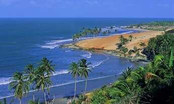 Imagem 3: Terreno 10m x 30m - Gualdrapas