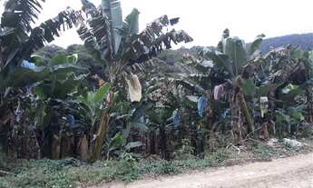 Imagem 5: Eldorado - Fazenda - Vergueiro