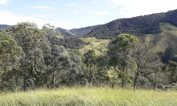 Imagem 5: Lote/Terreno para venda possui 20000 metros quadrados