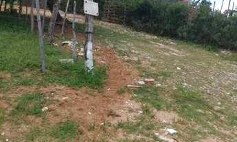 Imagem 2: 4 lotes no planalto 32mil tudo