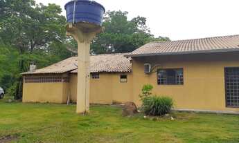 Imagem: Fazenda/Sítio/Chácara para venda tem 400