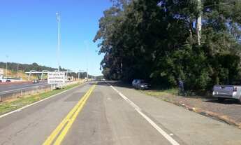 Imagem 4: Terreno nas Margens da Rodovia Engenheiro Constâncio Cintra