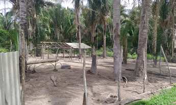 Imagem 7: Fazenda/Sítio/Chácara para venda possui 60000 metros quadrados com 3 quartos