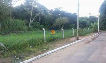 Imagem 3: Porto Alegre - Terreno Padrão - Ipanema