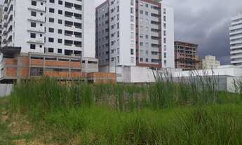 Imagem 5: Lotes na Pedra Branca