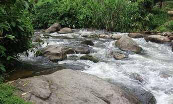 Imagem: Um Paraíso no Paraíso de Visconde de Mauá