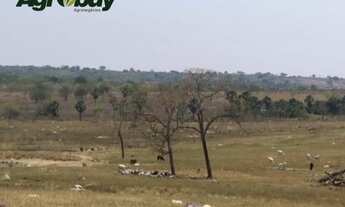 Imagem 3: Fazenda Localizada no Município de Iporá go