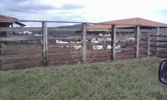 Imagem 6: Alvorada do Norte - Fazenda - Zona Rural