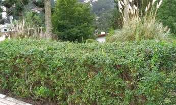 Imagem 4: Terreno para Venda em Campos do Jordão, Jardim das Perolas