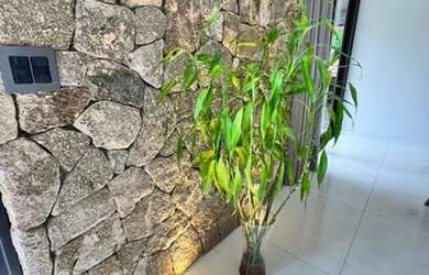 Imagem 4: Casa condomínio Tamboré 1 - venda