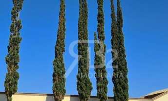 Imagem 4: Casa no Terras do Cancioneiro com 3 suítes à venda, 250 m² por R$ 1.525.000 - Terras do Ca