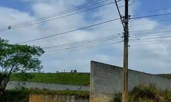 Imagem: Área Industrial para aluguel e venda tem