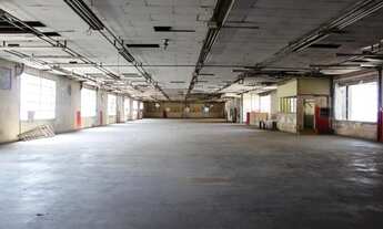 Imagem 5: Galpão para Locação em São Paulo, Limão