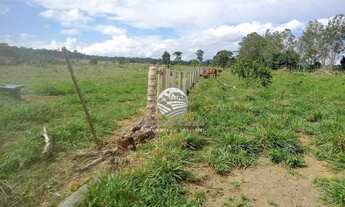 Imagem 4: Machadinho D'Oeste - Sítio - 15 Alqueires