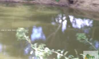 Imagem 7: Sítio de 12 Alqueires em Tatuí - SP