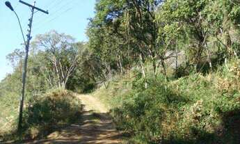 Imagem 3: Terreno no bairro Três Pinheiros em Gramado!