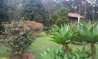 Imagem 6: Ótima chácara em Ouro Fino