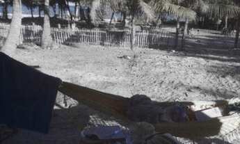 Imagem 3: Coruripe - Terreno Padrão - Centro