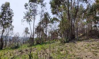 Imagem 3: Terreno à venda, 20038 m² por R$ 180.000,00 - Botujuru (Botujuru) - Campo Limpo Paulista/S