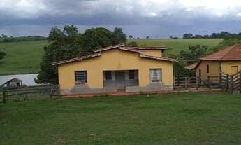 Imagem 3: Fazenda em trindade Goiás com 53 alqueires excelente localização