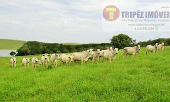 Imagem 3: Paranapanema SP 98 alqs Dupla Aptidão fundo p/ Represa