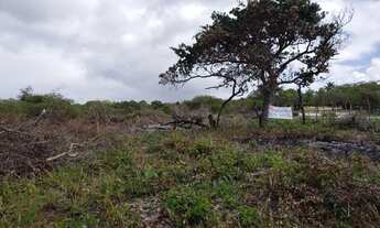 Imagem 6: Vende-se Terreno em Pium