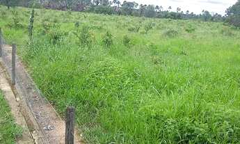 Imagem: Oportunidade! Vende-se uma bela fazenda