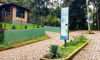 Imagem: Lotes condom nio macacos