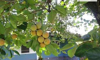 Imagem 6: Casa com 3 dormitórios à venda, 345 m² por R$ 1.200.000,00 - Patropi - Paulínia/SP