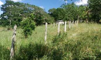 Imagem: Cidade ilhéus região Japu, Sitio 72 hectares