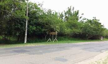 Imagem 6: Porto Alegre - Terreno Padrão - Lami