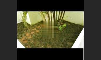 Imagem 3: APARTAMENTO - SANTANA - SP