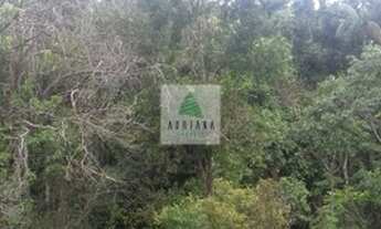 Imagem 7: Gameleira de Goiás - Chácara - Zona Rural